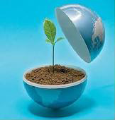 Earth Plant