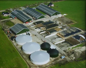 Biogas Plant