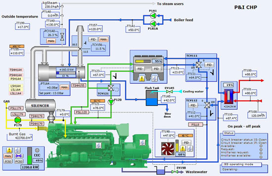 P&I CHP
